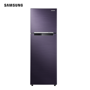 Samsung 2 Door Top Freezer | RT25FARBDUT/TC