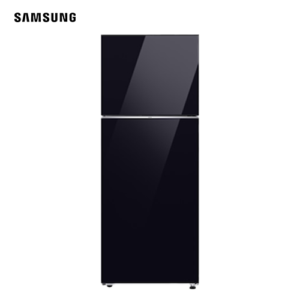 Samsung 2 Door Top Freezer | RT47CB664422TC