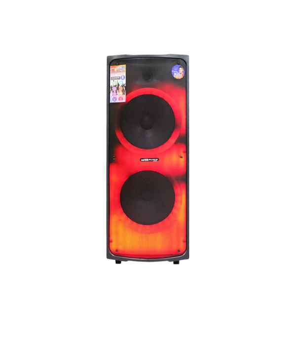 DB Audio PA System