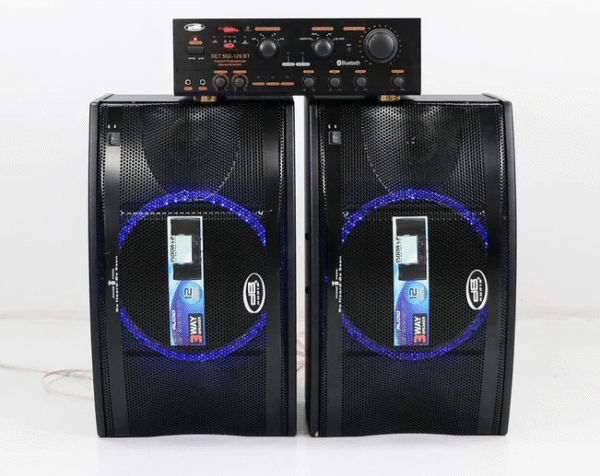 DB Audio 3 way loud speaker with amplifier | 1200 x 2 watts | 12" woofer | Bluetooth