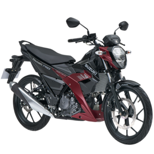 Suzuki Raider PRO